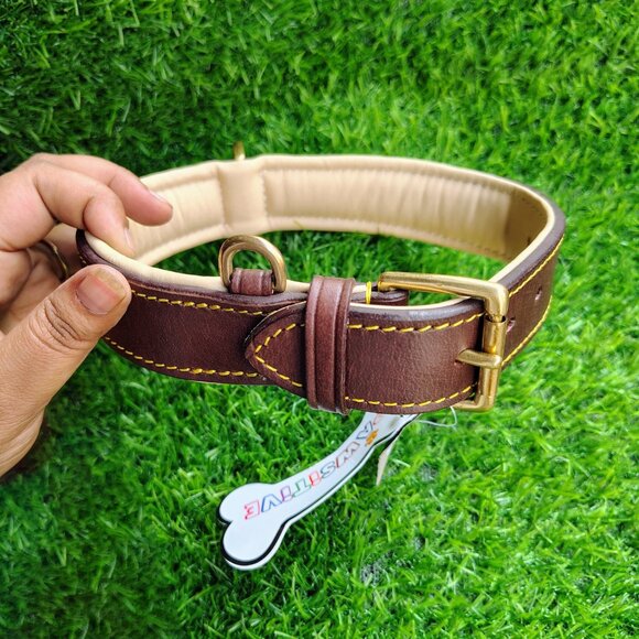 GENUINE LEATHER Dog Collar with Heavy Duty Adjustable Padded Collar - Picture 2 of 7